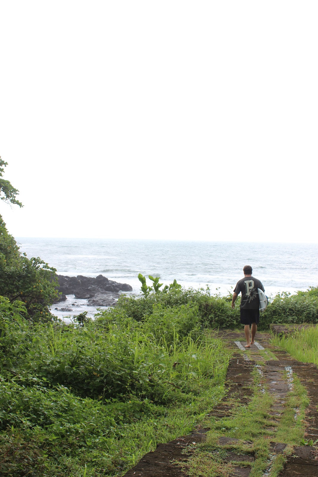 Gentlemen's Paradise Palm T-Shirt