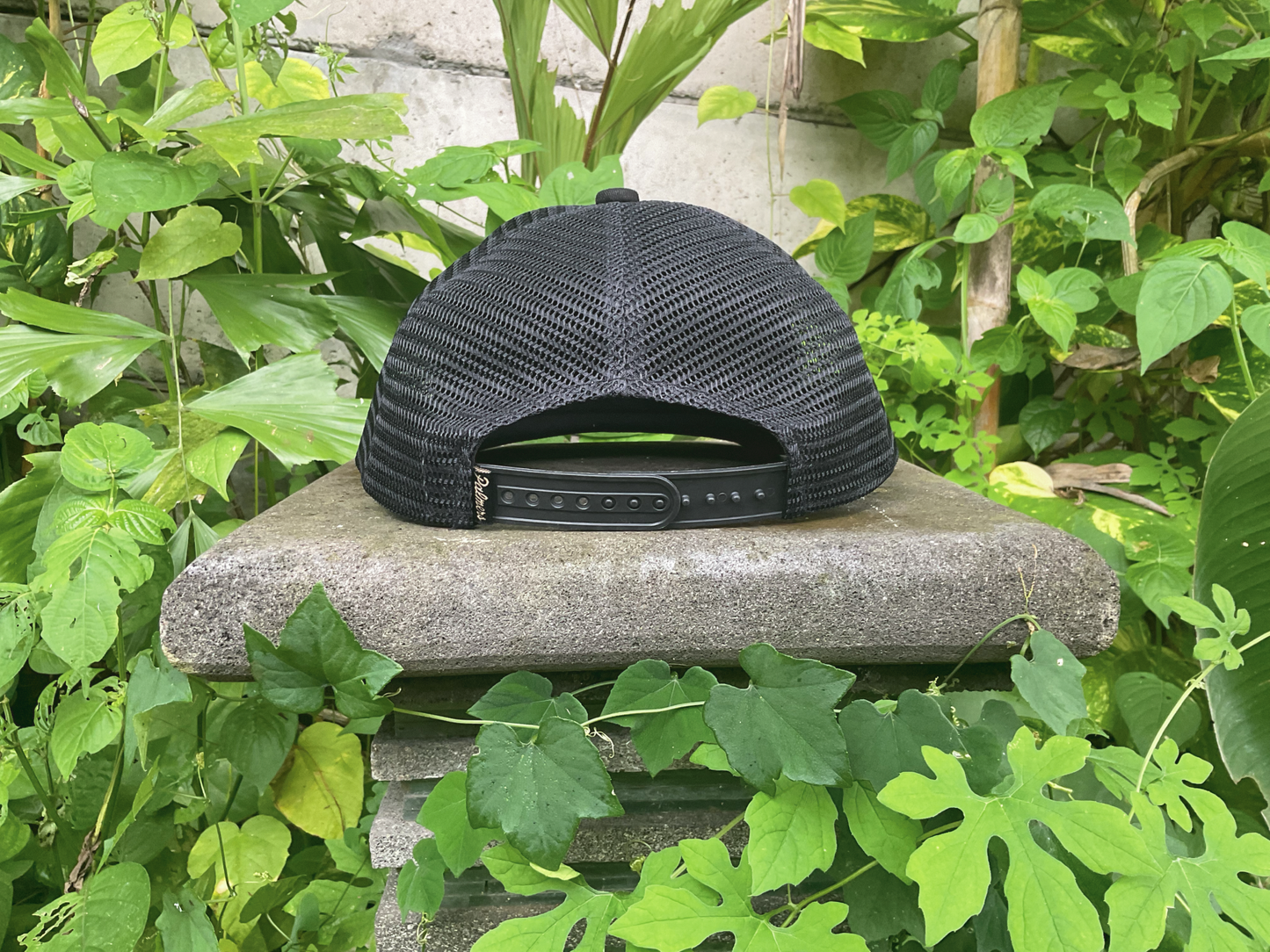 Palmers Hat